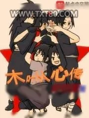 《木叶从心传》小说封面