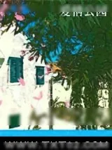 《爱情公园》小说封面