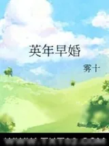 《英年早婚》小说封面