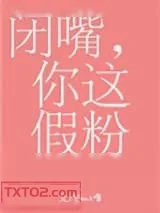 《闭嘴，你这假粉》小说封面