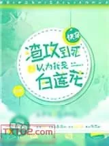 《渣攻到死都以为我是白莲花[快穿]》小说封面