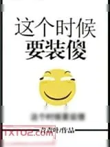 《这个时候要装傻》小说封面