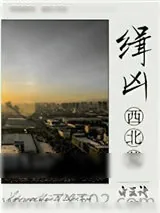 《缉凶西北荒》小说封面