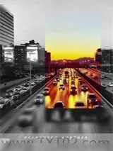 《追尾》小说封面