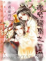 《魂兮归来之兄弟》小说封面