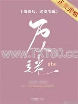 《离婚后老婆变成万人迷[娱乐圈]》小说封面