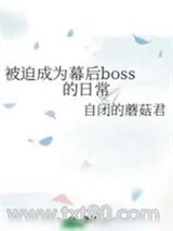 《被迫成为幕后boss的日常》小说封面