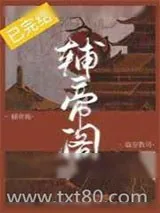 《辅帝阁》小说封面