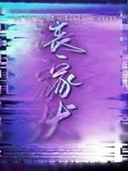《丧家犬》小说封面