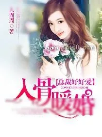 《不眠之夜》小说封面