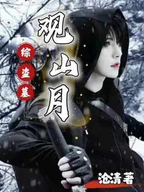 《综盗墓：观山月》小说封面