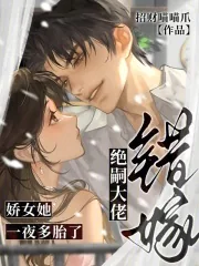 《错嫁绝嗣大佬,娇女她一夜多胎了》小说封面