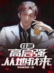 《狂飙：高启强从地狱来》小说封面
