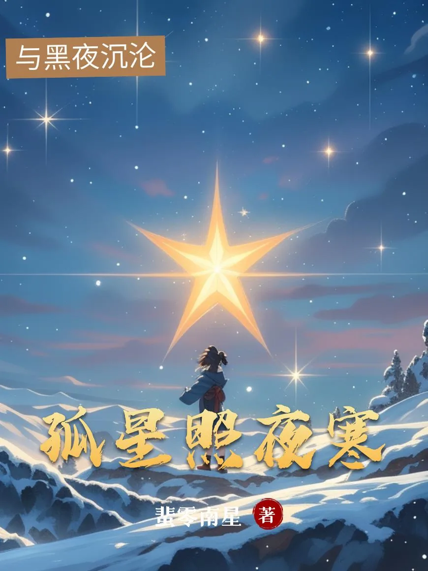 《孤星照夜寒》小说封面