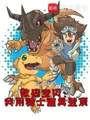 《数码宝贝：我用骑士道具登顶》小说封面