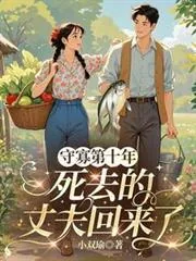 《守寡第十年，死去的丈夫回来了》小说封面