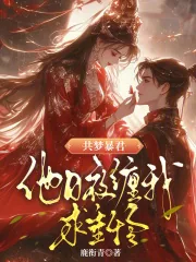 《共梦暴君,他日夜缠我求垂怜》小说封面