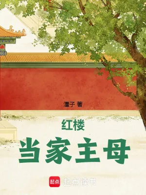 《红楼当家主母》小说封面