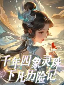 《千年四象灵珠下凡历险记》小说封面