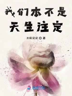 《我们本不是天生注定》小说封面