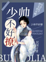 《少帅不好撩》小说封面