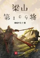 《梁山第109将》小说封面
