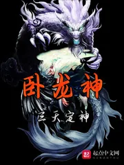 《卧龙神》小说封面