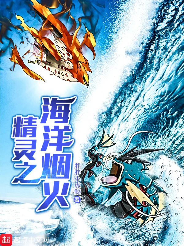 《精灵之海洋烟火》小说封面