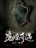 《魔瞳奇遇》小说封面