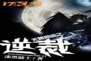 《无限命运之逆裁》小说封面