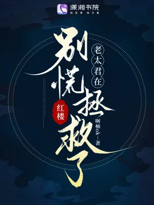 《红楼：别慌，老太君在拯救了》小说封面