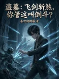 《盗墓：飞剑斩煞，你管这叫倒斗？》小说封面