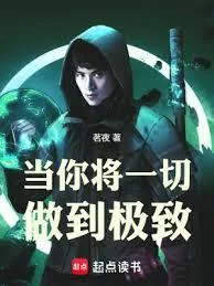 《当你将一切做到极致》小说封面