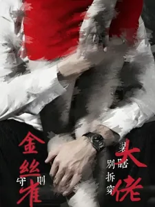 《金丝雀守则，别拆穿大佬装瞎》小说封面