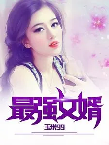 《最强女婿》小说封面