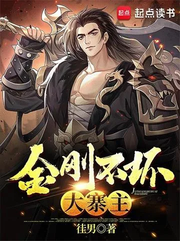 《金刚不坏大寨主》小说封面