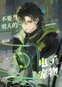 《不要当男人的电子宠物》小说封面