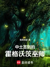 《中土签到的霍格沃茨巫师》小说封面