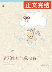 《情天娃娃气象电台》小说封面