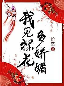 《我见探花多娇媚》小说封面
