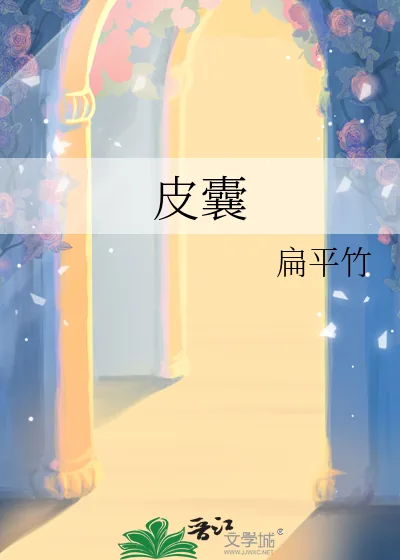 《皮囊》小说封面