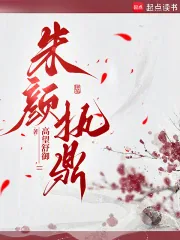 《朱颜执鼎》小说封面