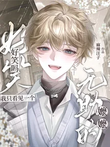 《好笑吗?我只看见一个无助的嬷嬷》小说封面