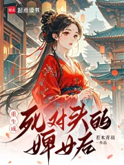 《重生成死对头的婢女后》小说封面