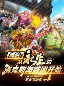 《海贼：从永生的洛克斯海贼团开始》小说封面
