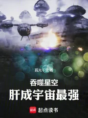 《吞噬星空,肝成宇宙最强》小说封面