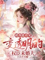 《就我能看见变透明的权臣未婚夫》小说封面