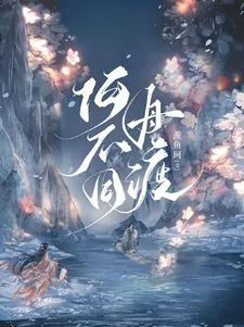 《何不同舟渡》小说封面