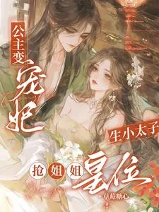 《公主变宠妃,生小太子抢姐姐皇位》小说封面