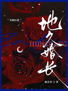 《地久婚长》小说封面